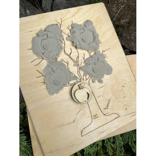 Drewniana układanka – Budowa jabłka